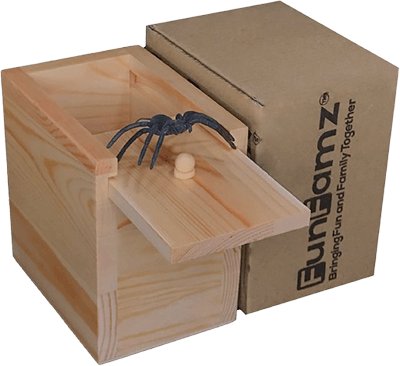 spider prank box1